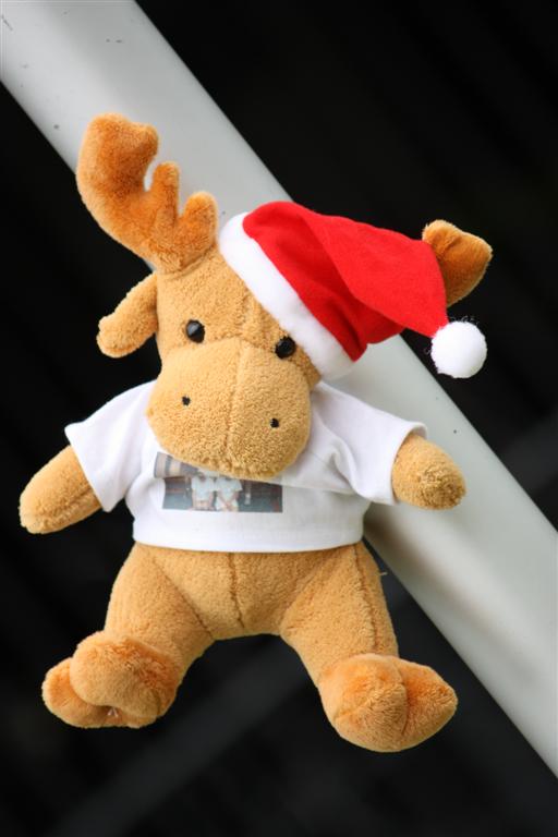 2009_06_06 TBF2_ReadyF1 (125).jpg